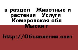  в раздел : Животные и растения » Услуги . Кемеровская обл.,Мыски г.